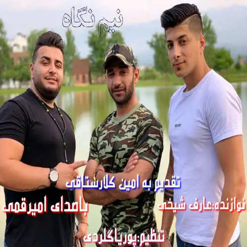 نیم نگاه